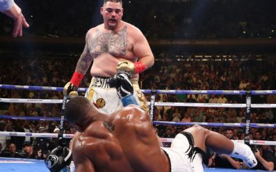 What happens when the underdog wins