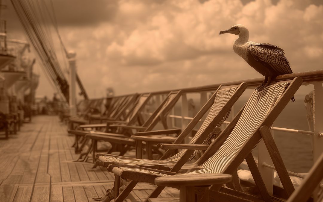 Deckchairs on the Titanic,