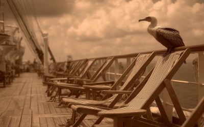 Titanic Deckchair Arranger Hits Back At Critics