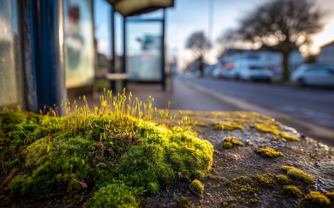 Rolling Stones Will Gather Moss, Thanks To Public Transport Campaigners