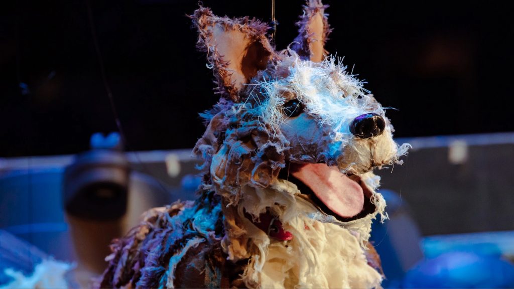 Rusty the imperilled dow (c) Von Fox Promotions