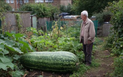 We’ll Grab Marrow Secrets Via Grower’s Own DNA, Vow Scientists